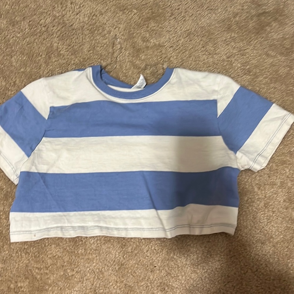 Pacsun cropped tee